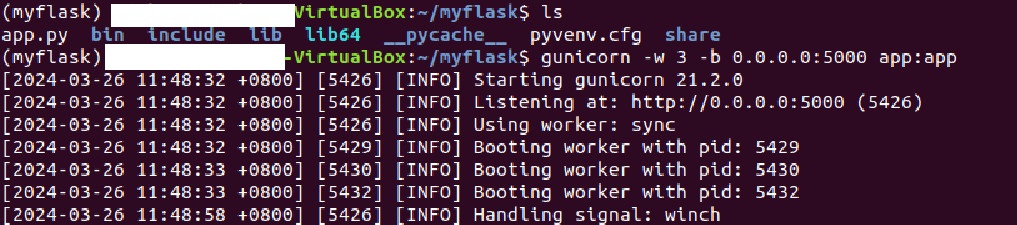 2024-03-26-gunicorn启动三个进程